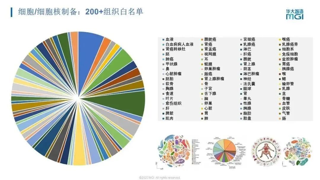 RmFicvQBAkgDVjGXawtg1yEzqKLcops4kbWefSqvblkr383uBmcyoRmvXRM8G4ibXdPmolyoD2HaBtSRFu2PyUFg