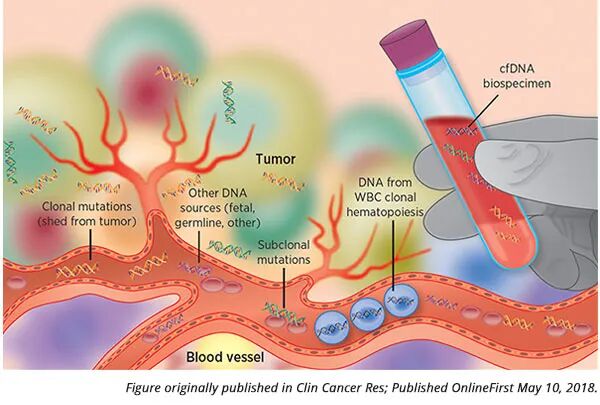 RmFicvQBAkgDZRqibgeGtaEnyVY01VBtgqaVY9aNSG6CgqzCibD4LpDibacQMWs9BcS8HkPPmxSkwP4ddHa1KlygSg