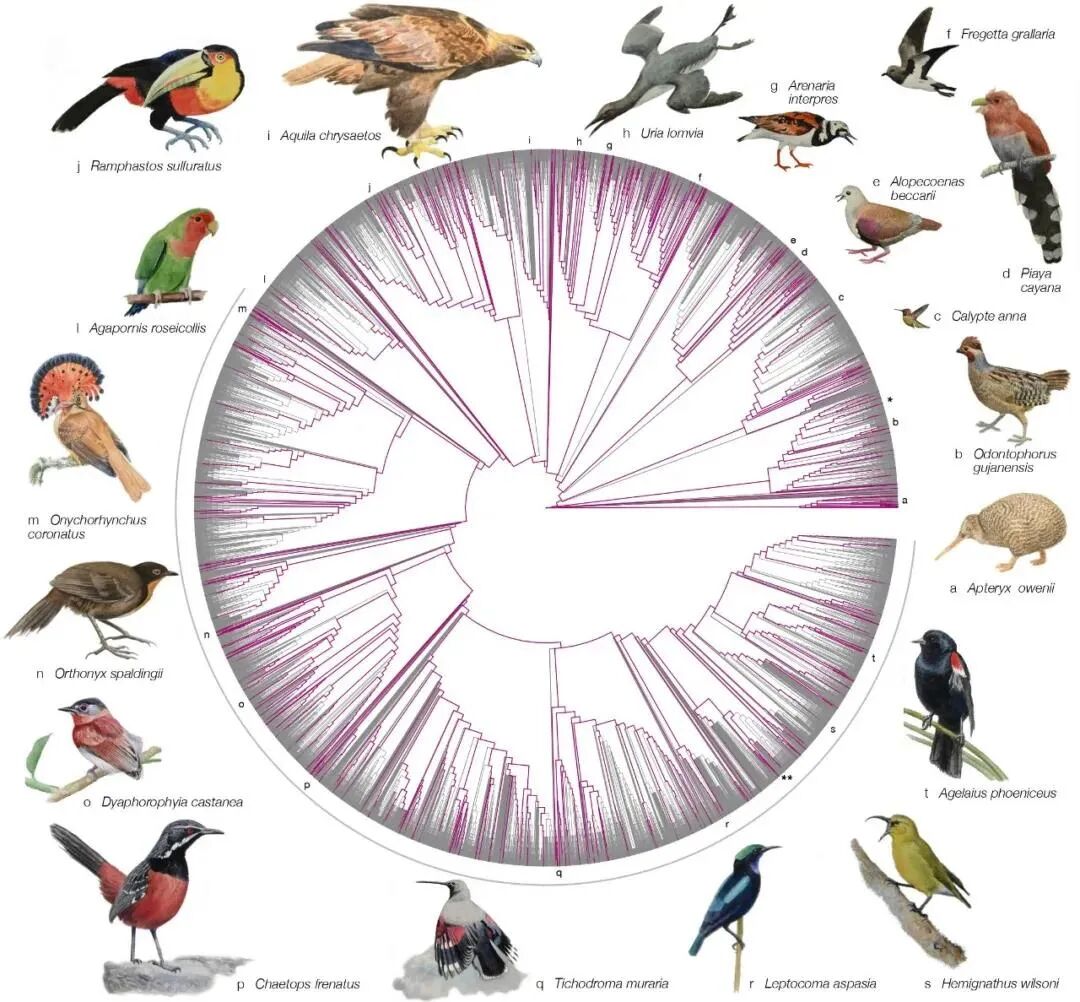 RmFicvQBAkgDhYaM9V1QEsxHmI3ib3Pj2iakzz8J30JOAWrVe9d5xpYMGvkSx7G2VVzCVhHpPr6VA7WbAdDck8rWg