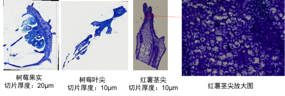 RmFicvQBAkgDicBRVlA8lPCtMlxMOX2eicjJp0mxp500ia4eAdFjmqAl0vpG1OFWxeom9IAYIg9MoP1SrjEot84nuw