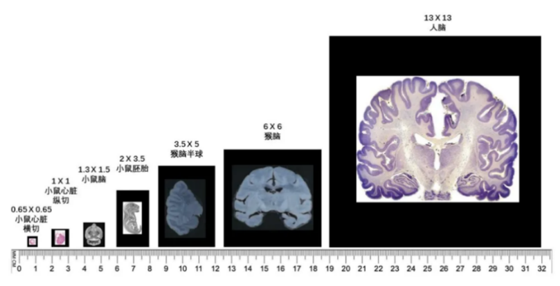 RmFicvQBAkgDicBRVlA8lPCtMlxMOX2eicjfEnaAWuot3ibciakk715IEk0bK2Hc2uZDj0GE0DAPuxdGbGWXHkVDBCw
