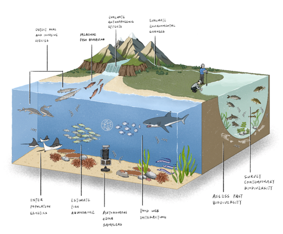 RmFicvQBAkgDicgYGKoiaaAbiceMqJMbvUQ1icv8ed6wb3Vib90tfcxs21oCbPXx15rpcMKUaypFOOAiaN5b82WwOWnqQ