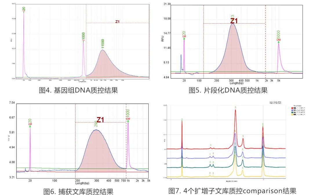 RmFicvQBAkgDkXRnLrBKzvdzkrbqpOH0b0qiczlRiajgHUXBQib3eSR8lmzibM2LfFXWs8kqSibrgr19t2gOcAmjGIuQ