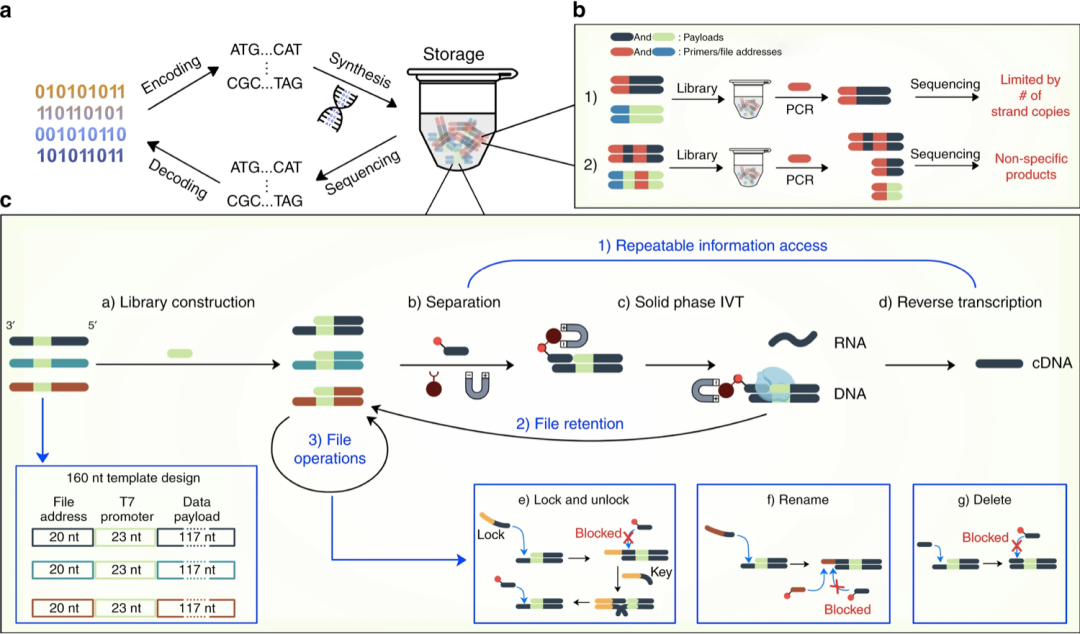 RmFicvQBAkgDlicOibCDMAQDZicG43cIbpncSOaJj4xibYM6ic7Cy51gAKA8PjbKz8icz8kVgV23Tpicuqkjbyd1m4NPSA