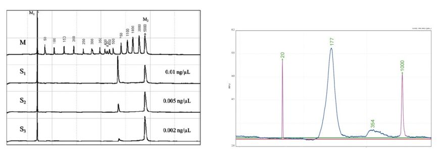 RmFicvQBAkgDo0Mnu0QmD4t7zibUUcbDQe0bFPMmEoNMDPlyvWlyZHvkhMFEx83k0J2WMtMSKzcRt5ahiaQJSq4Zg