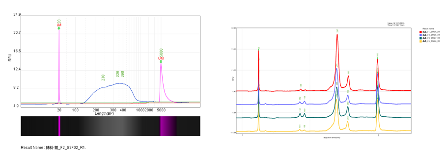 RmFicvQBAkgDo0Mnu0QmD4t7zibUUcbDQesEnStzyctRs7l0nTSVZ8GyvMYmuWIEPDEEHhICu8icDXg7hVU3wCoIw