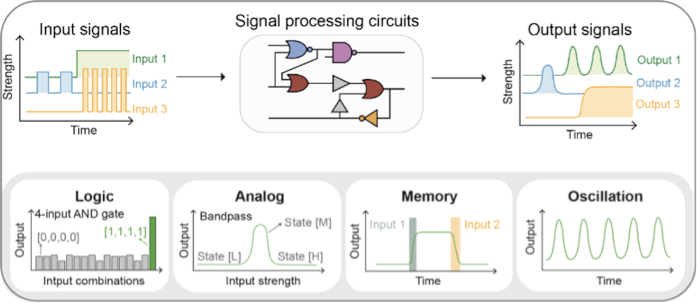 RmFicvQBAkgDoyUT5Uibvc9wJLaqasUDznG2hMPuYiaeoglGO8teqYrl9A7Ye8CPIBVA7h1BaMI1LD6rmmrtHiavFg