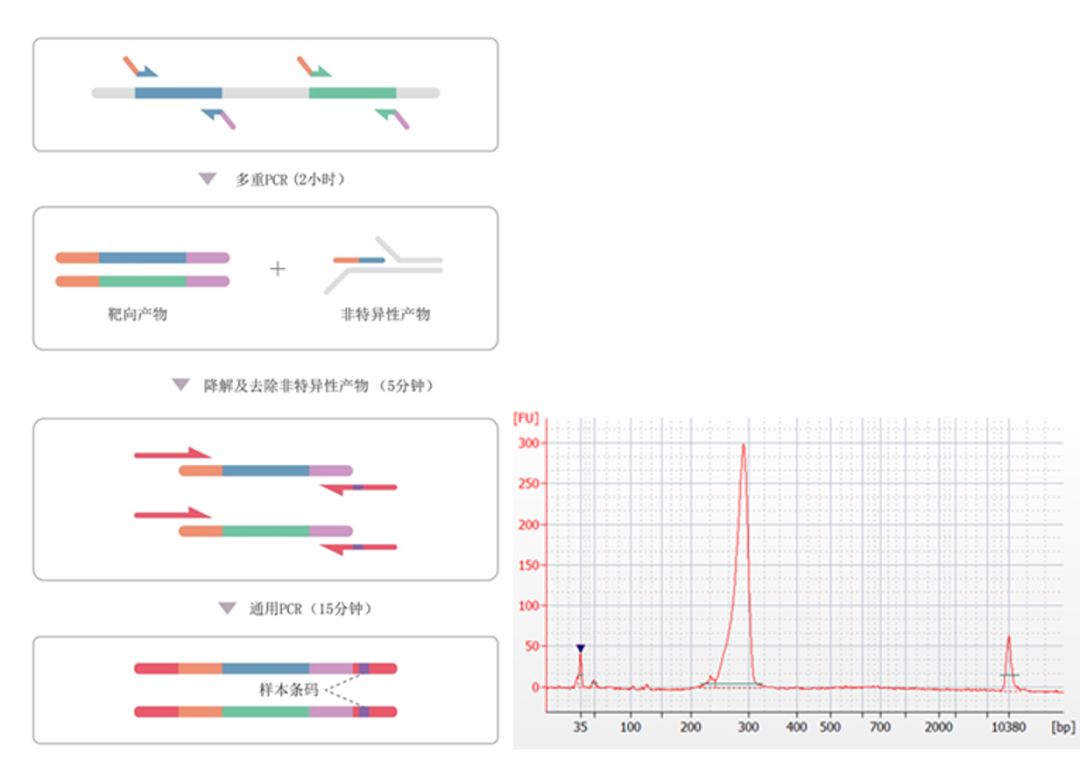 RmFicvQBAkgDr2wkTmuynMwvwjHwftibrvNicw7WEZkBSwZE4C1fFkkUiauhAYO9iatwaIzfiaGTZY7jpuic7a7A1SbZQ