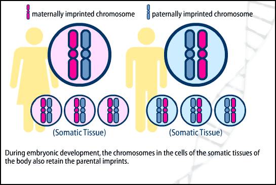 RmFicvQBAkgDtRECtvBP5ibLqnREzJXDrhbKtiaicBKre9aX9n7lmlkmehrPeZeu37OLqs8d2zibhNGx53psC0ofRDw