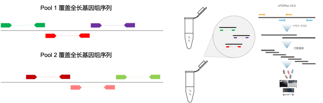 RmFicvQBAkgDvficq4NYETuWI5zCAc9ZeAn2HffuYxhpXPq1uU26oT59S9XyrLWqD8S1uFqzh30ShNI4IqXliajaQ