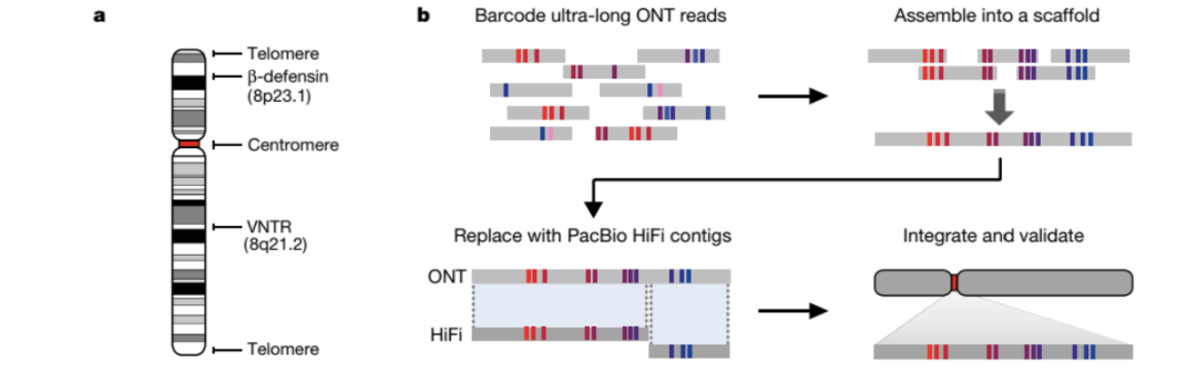 RmFicvQBAkgDvsIvFSFK03rFNeW8VC8siaNxoa8waQ4zeuVd180bEIOEe9p0DpYibv2GS14GxlHTSL0UVMehia979g