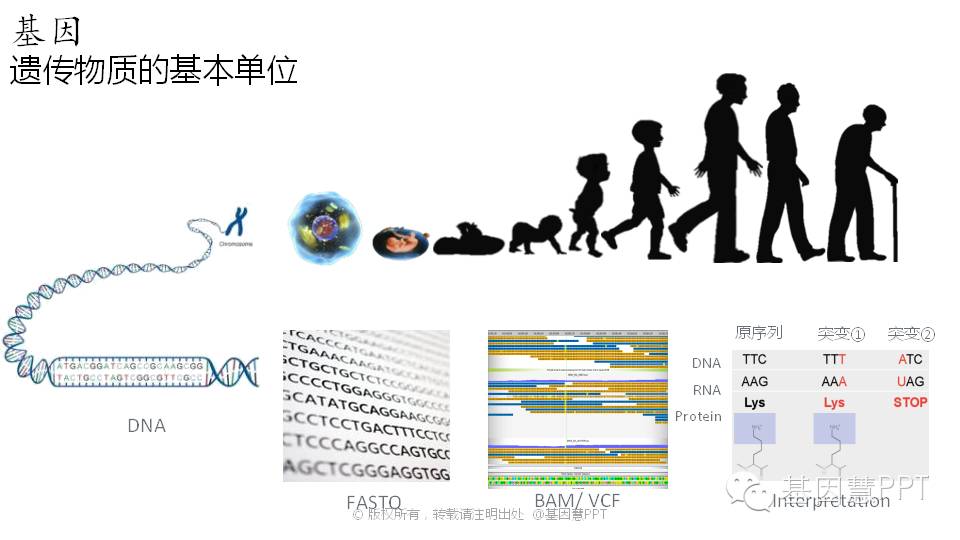 eicZhoGYCfyYPiaLCHppSB5iaAJK6Zm0R36Oj0bAyMYYj0vQIs0kG42oBBtGxMK8K5Ix0PCfDk50etD6NLIicduqBA