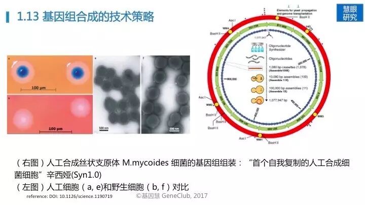 eicZhoGYCfyYaMibnKc5mjCmKXicZp2W0CKGlp422bgGo1CIQST2zibT0LQUWhLVdMZkLzvBzfoZtpcOufO73UKPrA