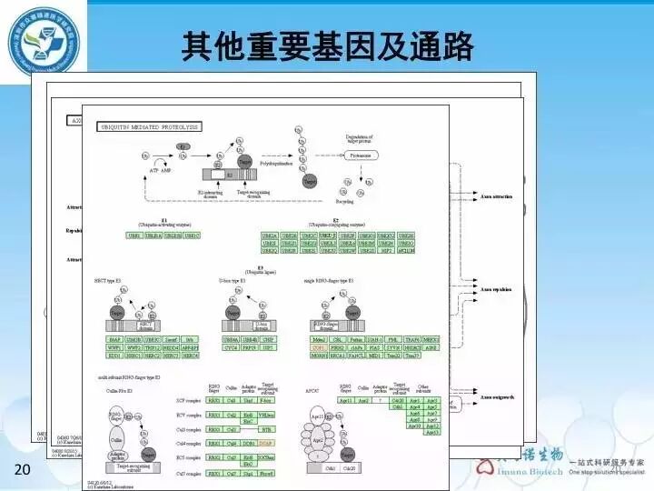 eicZhoGYCfyYsMFLlcPDEJ8ryArBHQVwz9VPPic1MNsLBUMYiaHibadTib8kiaiaibVFnyuxCLuiaibpG3UIwYhlAFFuAxbQ