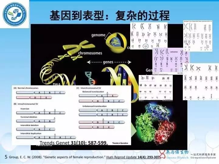 eicZhoGYCfyYsMFLlcPDEJ8ryArBHQVwzb19Zbicce2hdx6Ip2XXeugOkkMTfcy7iciaJFJicYekYMmHLibwv2OWINeg