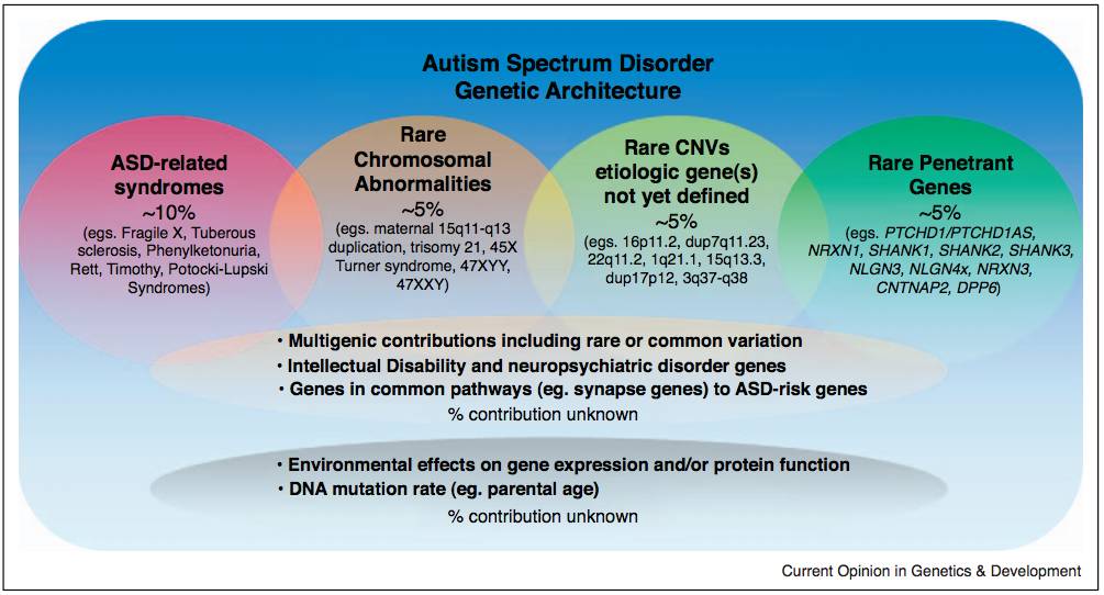 eicZhoGYCfyYsMFLlcPDEJ8ryArBHQVwzbJhHqCBSeurdPjO8lzeXnzjUsySVCy9YsCjj43wIiaz0Bfia7nVTfgLQ