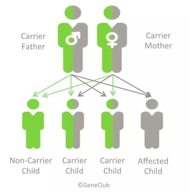 eicZhoGYCfyZCQbtWbXyD5VDosVOqrib0cRE3AonLDEn0FQRjnXkxxr6PHrKsRR34JO2wiazF1ic8cUiavagVEtuRnw