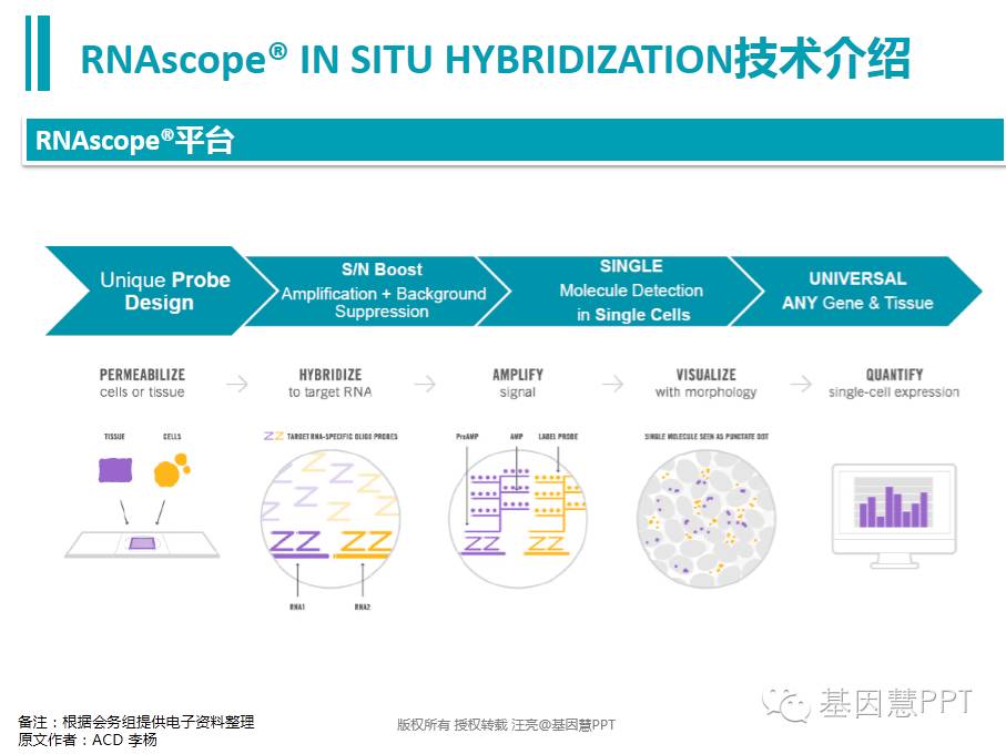 eicZhoGYCfyZDb7fXcH7Wv9ZkNctCwjS88dQJuJBLfibvBMjArg7V4Oiar012jFbWsibsibicFmJtouMBibltToTXHrAg