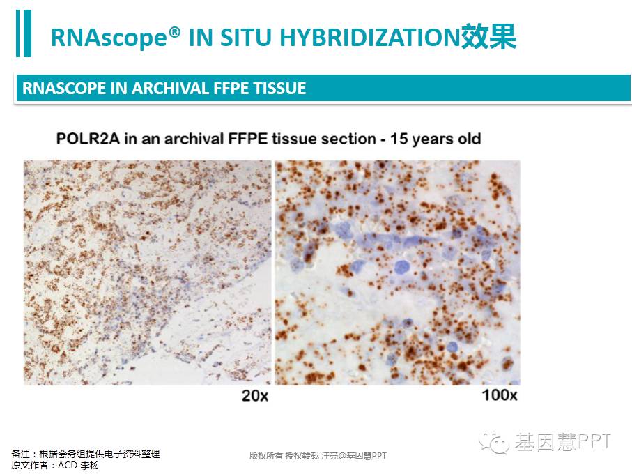 eicZhoGYCfyZDb7fXcH7Wv9ZkNctCwjS8T4kGbb31xtiamlWcVvryFg0ibdaSUwKAGeRkDyH8kGbd3AePVQict3piaA