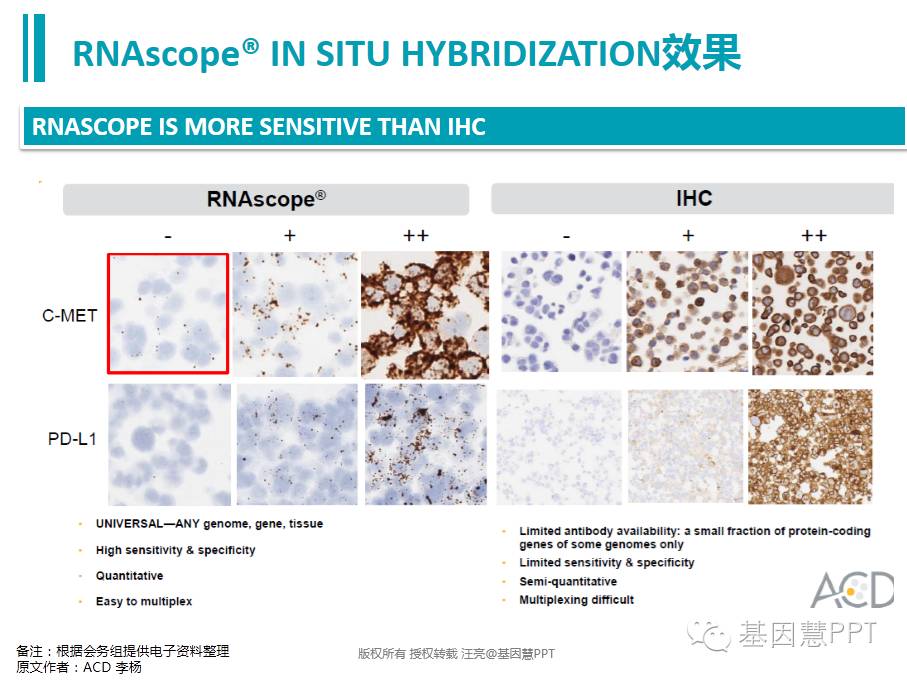 eicZhoGYCfyZDb7fXcH7Wv9ZkNctCwjS8edjjANGKXfeAGmkdnW03Ylsr2d8QEiaXH2mMa2VDgcibnibUerha7WxTw