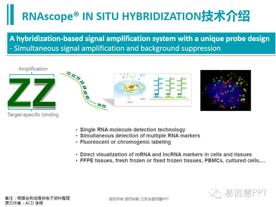 eicZhoGYCfyZDb7fXcH7Wv9ZkNctCwjS8iaSZZlgS4Af7tabxQLspmrUFhpNWLZibBNRgwOuf4GhxyWbUNtQibShww