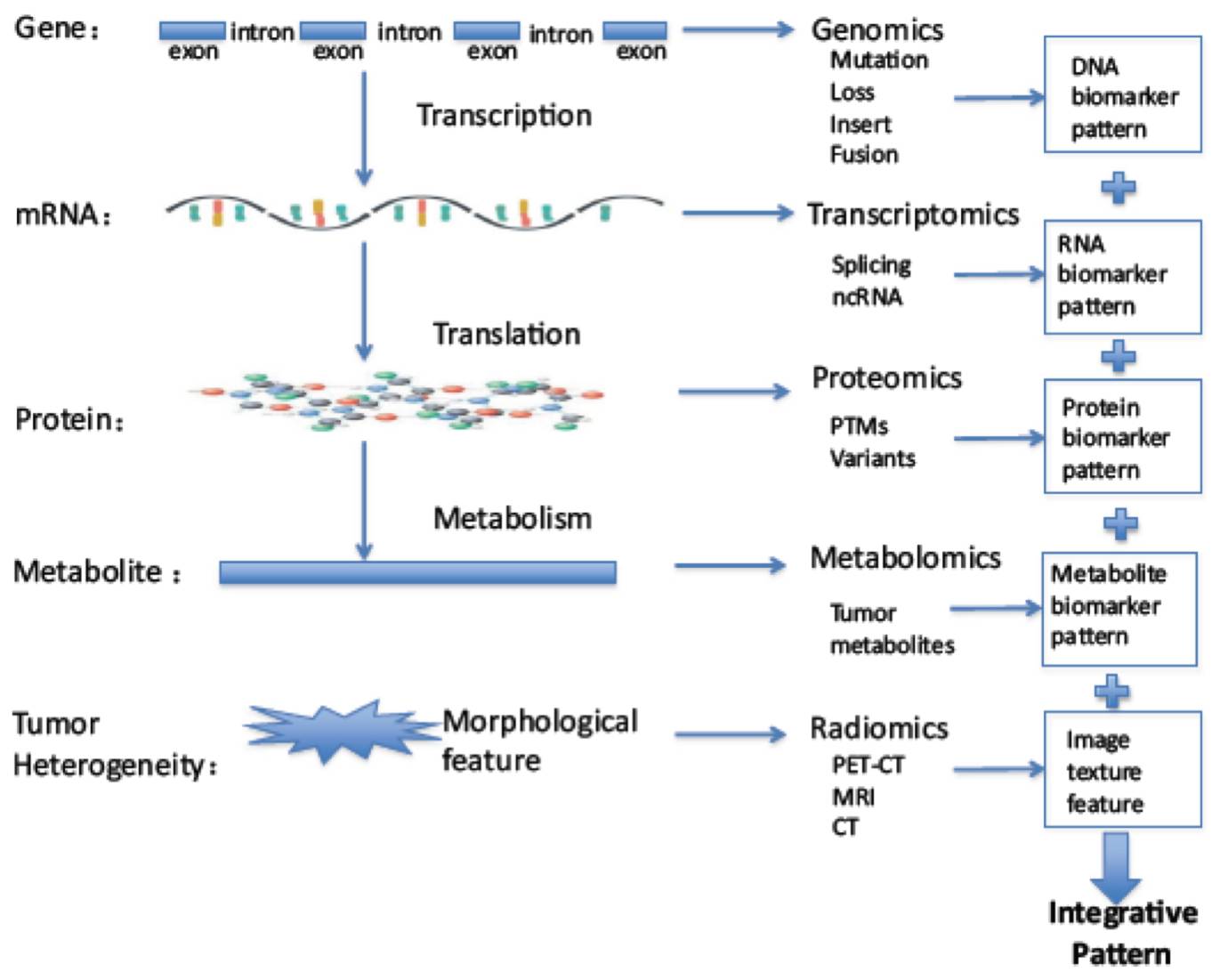eicZhoGYCfyZJNicVQCTFrfxEhBfNRjYkkkeZD4lINWVSCeLYZguDibZQpTWyOU5gMEO4XZmBz1icR3KwPzVGcsIsQ