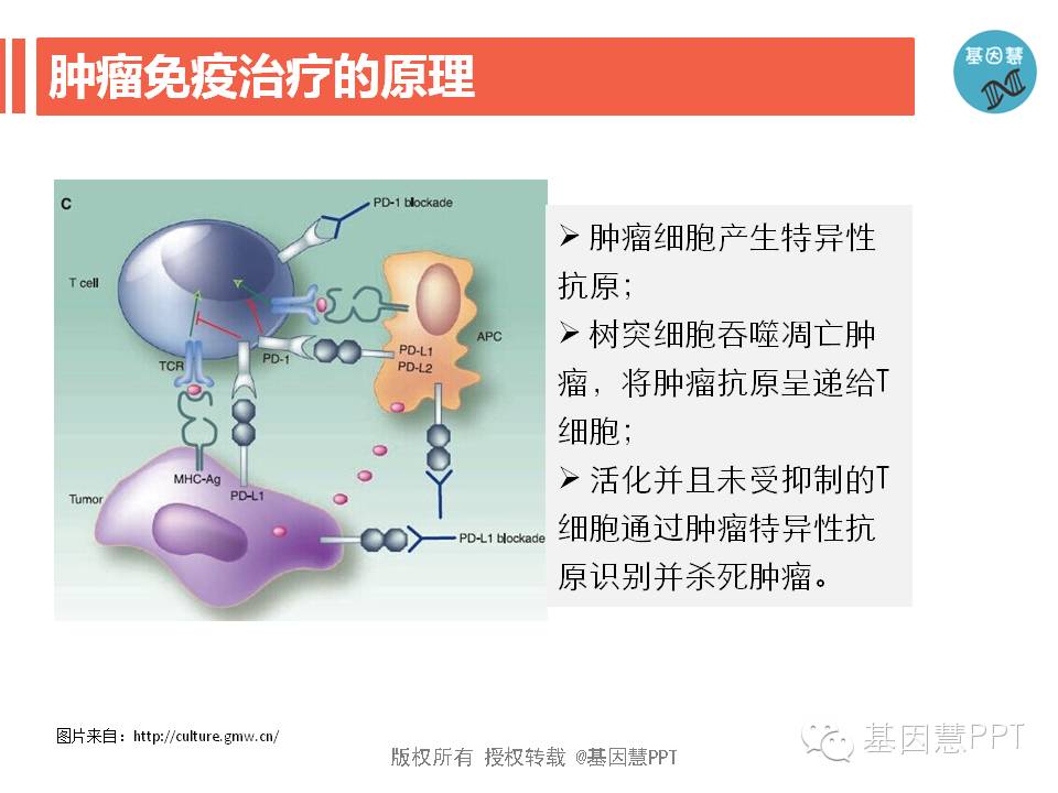 eicZhoGYCfyZeqrRpVV8jlfPjEUwHXoqtVic4e8dO9icJMXrkg8nFJ7AbUHR5g49Jz74Zv1AT4jEWiblfvMVv460tw