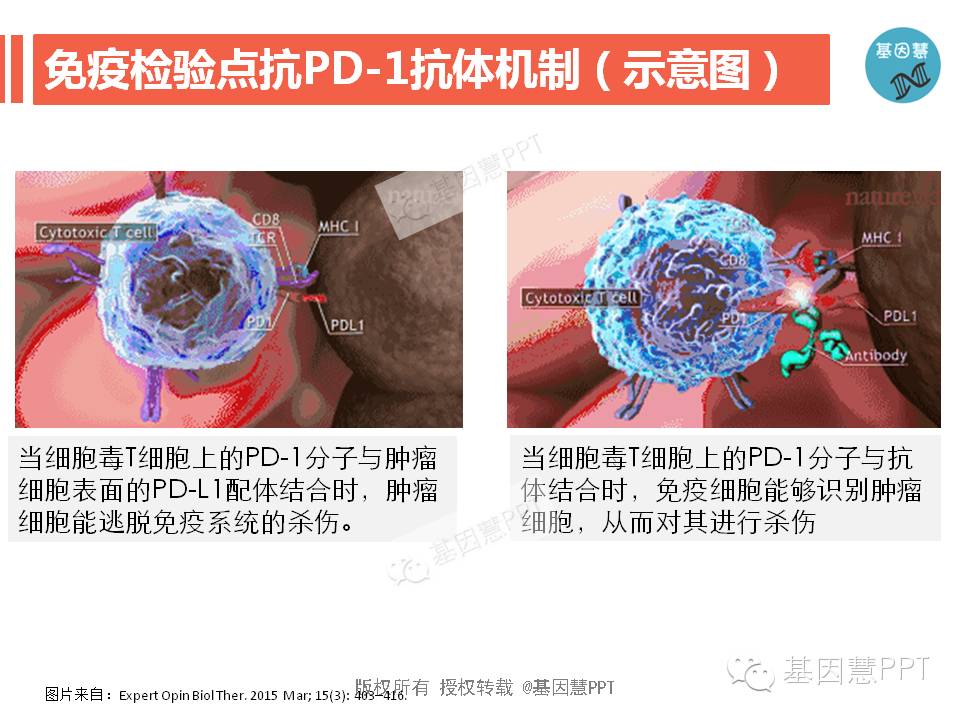 eicZhoGYCfyZeqrRpVV8jlfPjEUwHXoqtXR3y6Zbr089ibpARokXuexPXScM5pTt6RxdicSHe7FYf4ic0nE1N1WOWw