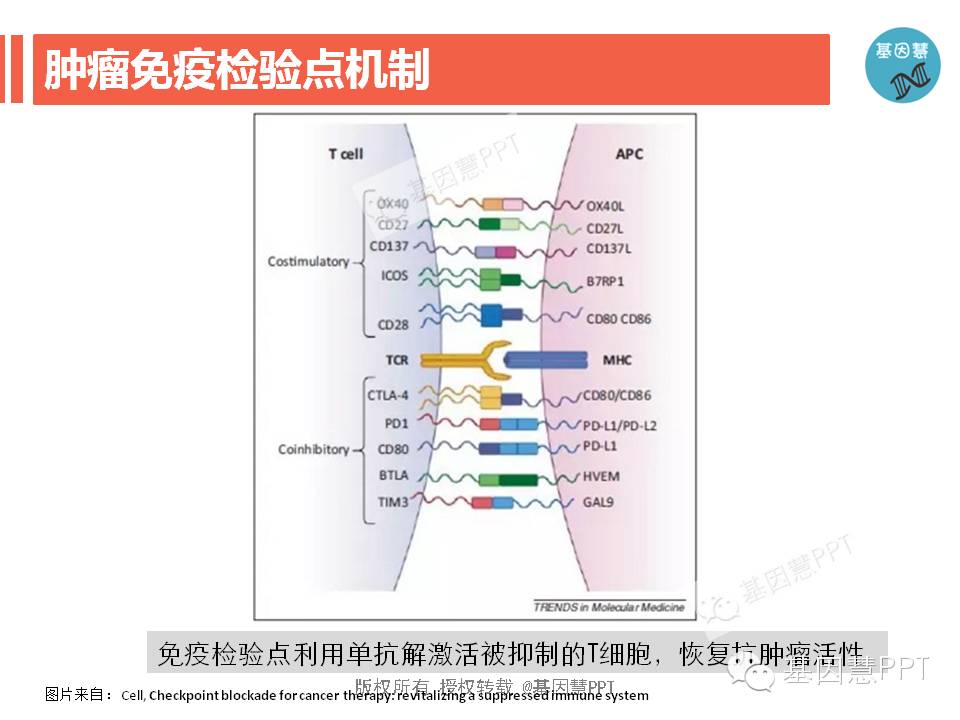 eicZhoGYCfyZeqrRpVV8jlfPjEUwHXoqticFS3X3b8ky1XBicLu2doOwu4JWXjDNveBRaNa4swZqfvZnZ0kpsVJFQ