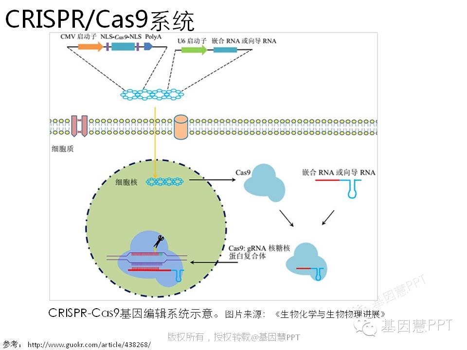 eicZhoGYCfyZiaMWViaPbW2cjc3dESQO7t1GPyl3C0REnOyNYMicsP434t5CGEm6PjpGgDKaDstHPw0t9N00pLWTbw