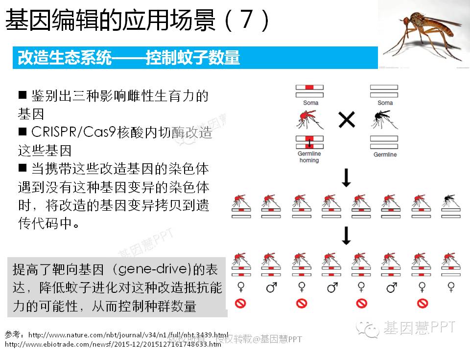 eicZhoGYCfyZiaMWViaPbW2cjc3dESQO7t1IXRuPX84rsNemVic4PFibTwDfM4Ve9590Pvy4O3adUqWgzUgRgeaRbuQ