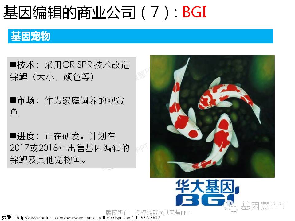 eicZhoGYCfyZiaMWViaPbW2cjc3dESQO7t1TsK7K5A6IFaUFU2icWt4uw1AicHweA5ibvKXLeiauaZyvU0WicqiauhgcibAg