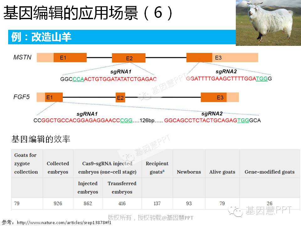 eicZhoGYCfyZiaMWViaPbW2cjc3dESQO7t1VrzLfKwh1U1GsLjy5unYjxImjceeBTno6X8cVI1J6BR4Z5tMLKr0XA