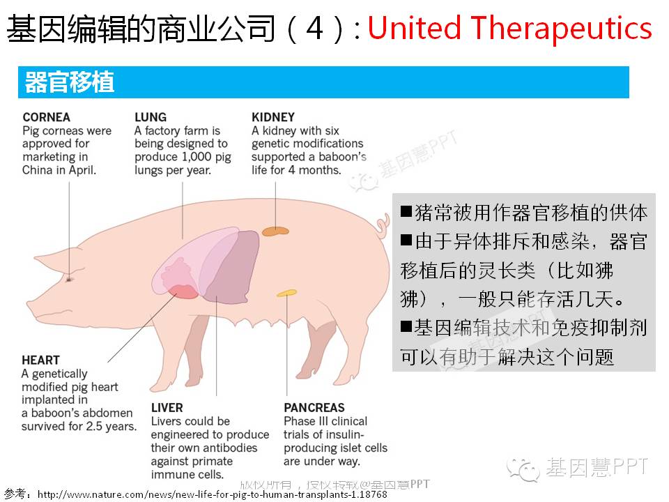 eicZhoGYCfyZiaMWViaPbW2cjc3dESQO7t1ZFBLukSpW3ib5bNaoBupXJ8JTHVn2ntndG26uQ9cXH0urrd1X2ic68iag