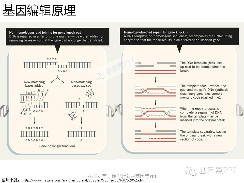 eicZhoGYCfyZiaMWViaPbW2cjc3dESQO7t1lMN9PxokEYX0VUSicdqcp8Jib5dibiaabT6FTcPZJEkdu1tscicaGWr6FBQ