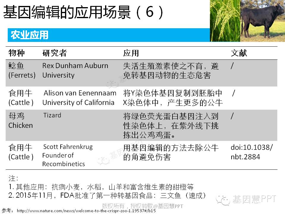 eicZhoGYCfyZiaMWViaPbW2cjc3dESQO7t1oyqu1icplDoiaibk4y0ia3n7pkYatCWQ2OvDFCic7rzb8uHNYJmuWMGXUpQ