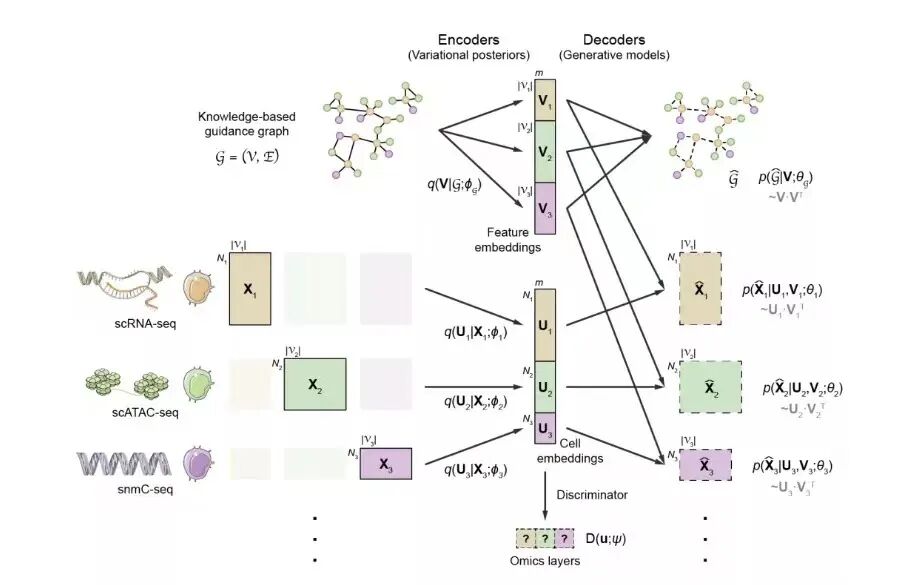 eicZhoGYCfyZiaV509qm6zUovXOPlzWknlQDfgibDtB7pVibeoibufQCh2f6D8NBY22pKWic1Gm58hLcajQCUYsW204g