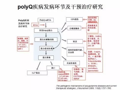 eicZhoGYCfyZmrbfwwxOUbhkV0aypZWHjk3ok7qlNcjt89sUGwJbqgUKZia5Ll6geziabCgDWPib3OgpOIiae8qu25g