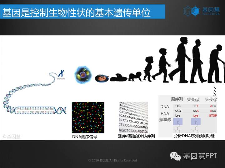 eicZhoGYCfyZvuoXGrZWXIzckibxKGVte1Gibe7UWgFA2HiaxbA6icQ1bakA0ZftL4qbQlOia38KSXp9GB4MJ6EGhC4A