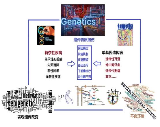 eicZhoGYCfya8CWBKF9PBvSyHjjKRxuUQqavaa42TTI8uv2AMQnOO5AStXZ15NCkKPutHBQ5cENxdlib53Hg7tibg