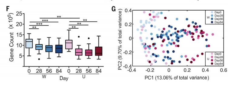 eicZhoGYCfyabEWpDUgHL7W0YLmTAnQ80LoaSr2A7D1KdicDDYey16iaHlHuuI6p7qaYTt4zs3n8f0IMyK2yuM5OA