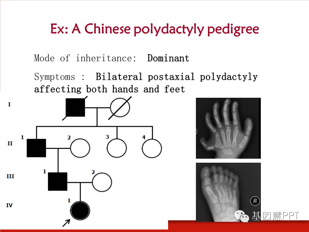 eicZhoGYCfyafJjQJnYJIhNcTlDmyh5WR3wJQMOHYibz8n2h3iaI7DHwEp84n8DusLkLyE1nmDzodY0icrfO3COd2w