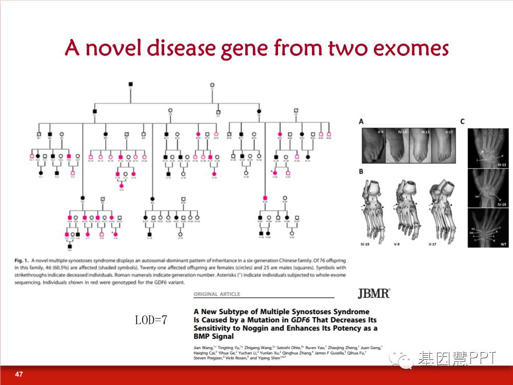 eicZhoGYCfyafJjQJnYJIhNcTlDmyh5WReC3E4W6KQCGC0y4iaV3b7RmePj3LibVJDBaV9kicVZFPc0tTdmib4LXWaw