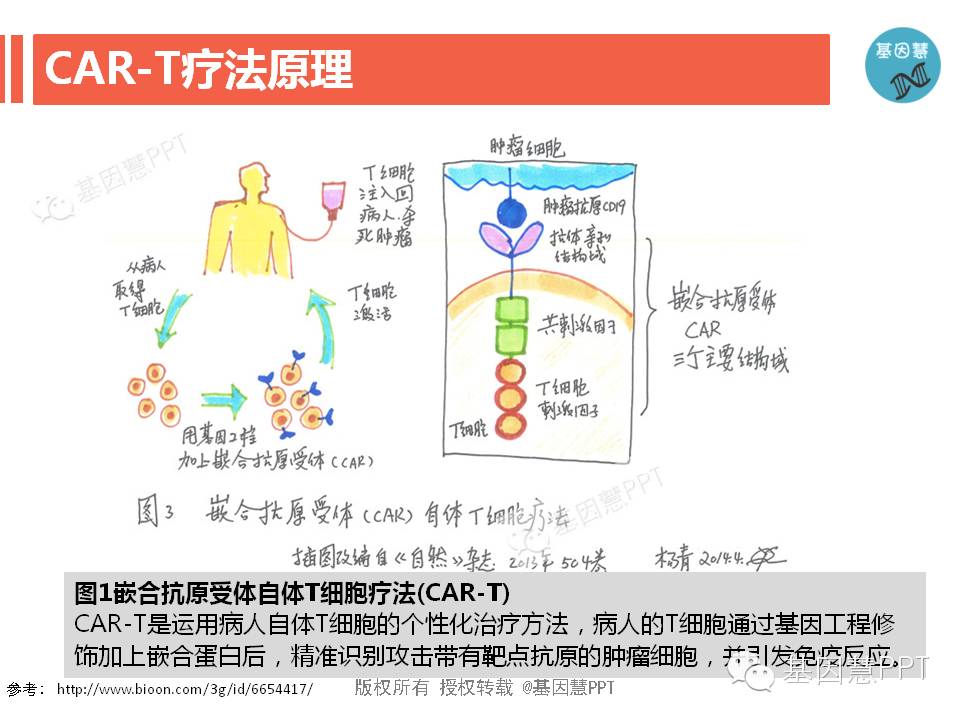 eicZhoGYCfyaibYhnPyWSopicJ7p4cqYRvQ17rZ1ImMTgxaBnc0ApDdWwM478vkbyVCAmRYERldA68VhTBqseIyVA