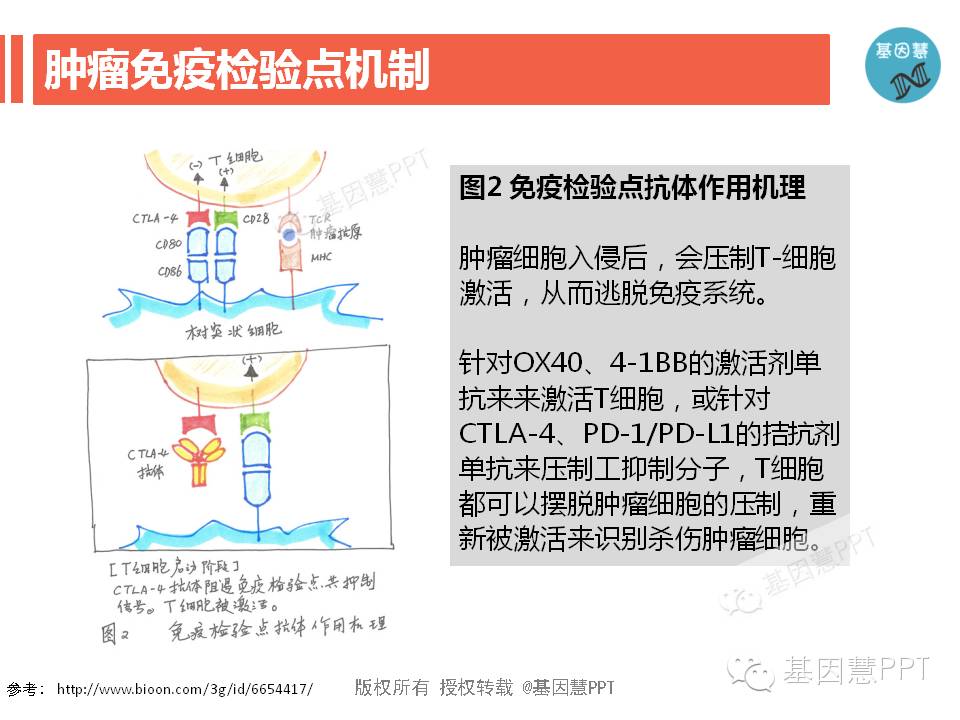 eicZhoGYCfyaibYhnPyWSopicJ7p4cqYRvQ80J7y1qs4RmDhibr7jMxyMEHy4kucMVLzlh0x1BibwcALQ845YgLAIyQ