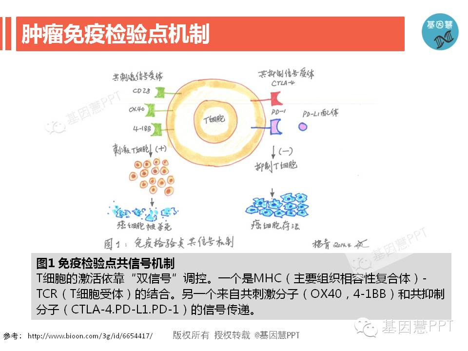 eicZhoGYCfyaibYhnPyWSopicJ7p4cqYRvQBzrjqYvTtpGmPnzMcHCib3X7bRw5ibD3ULAzTFc8fqVxc3hkD5S2FQdg