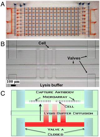 eicZhoGYCfyaict3PdnQoksESCUl9yvAGYAQUFhW244zfayoRCb08W5l0dkUxCibCtarMpgOfGOgBKjgicEw5XXmKA