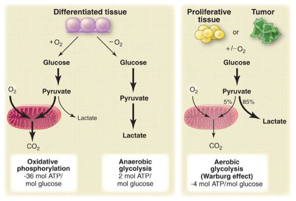 eicZhoGYCfyaict3PdnQoksESCUl9yvAGYWOXM2GUUcIZ58jzgCH8zOxibJo4Mb5Ff2edMn9alXyTySqP0WQwSlHw
