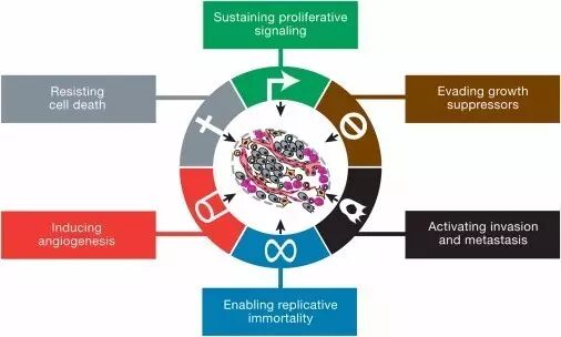 eicZhoGYCfyaict3PdnQoksESCUl9yvAGYvE2tmT1gTP3YTVWUE3qGY7P1qNbPkMa9ia8gyxnphndAuD3bcibJE2rA