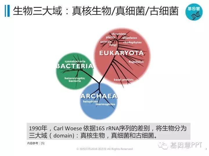 eicZhoGYCfyanwiaoeeoRggS6rEeNYpYX9w308hfvU2gY8HL6cyS906MzvwET5a3KY1HU5sBb5zlWkEjdwKeq9mQ